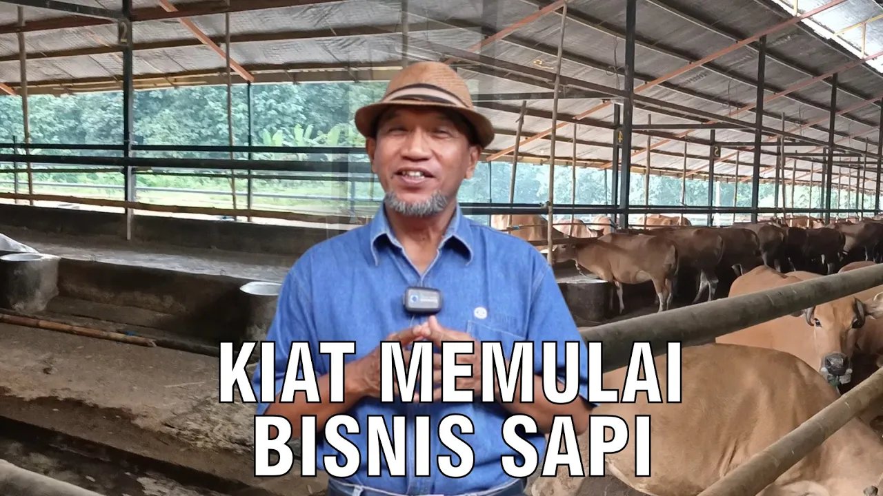 
                                 Kiat-Memulai-Bisnis-Sapi-Pemula